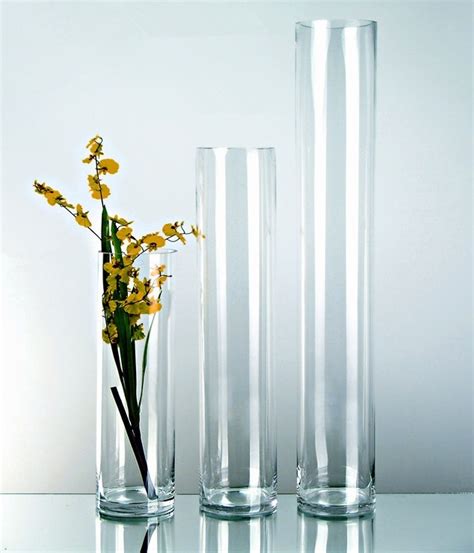 Clear Flower Glass Tall Cylinder Vase 5x30cm Lazada Ph