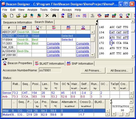 Design & Evaluate Molecular Beacon Probes