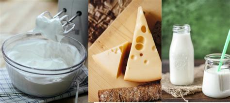 Dairy Food Group Get To Know About Dairy