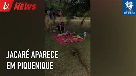 Jacaré do papo amarelo aparece em piquenique de amigos Libras YouTube