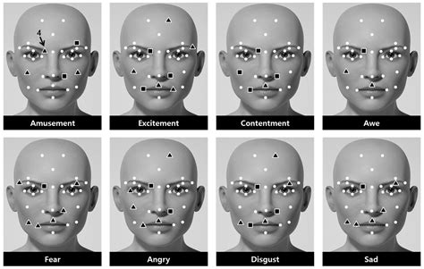 Symmetry Free Full Text Facial Feature Movements Caused By Various