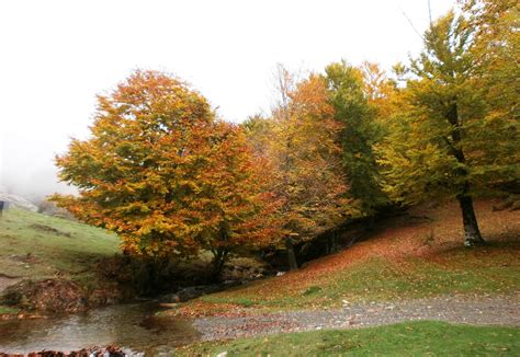 Paisatges I Jardins Landscapes And Gardens De Novembre 2012