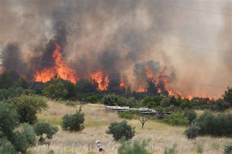 FOTO VIDEO Vatrogasci se bore s velikim požarom u Dalmaciji Vatra se