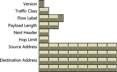 Ipv6 Header Structure Format And Fields Explained Images