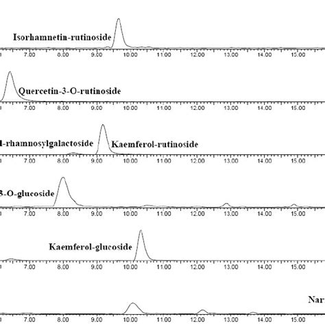 HPLC ESI MS MS Chromatograms Of Main Flavonoids In Red Solanum Indicum