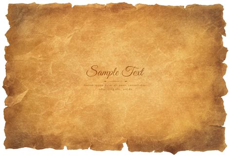 Vector old parchment paper sheet vintage aged or texture isolated on