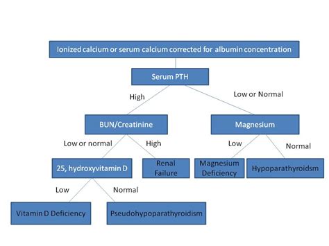 Hypocalcemia The Clinical Advisor