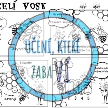 Materi L V Ely Edukativn Plak Tky