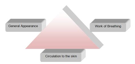 Pediatrics Overview For Consideration