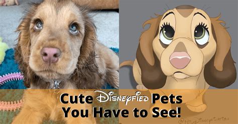 Netherlands Artist Disneyfies Pets And The Results Are Magical