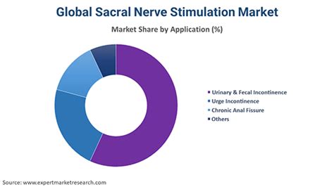 Sacral Nerve Stimulation Market Price Trends Size Share Growth