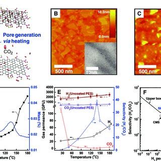 Gas Transport Behavior Through Thermally Reduced Go Membranes A