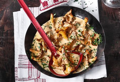 Eierschwammerlgulasch Mit Semmelknödel Foto © Walter Cimbal What You