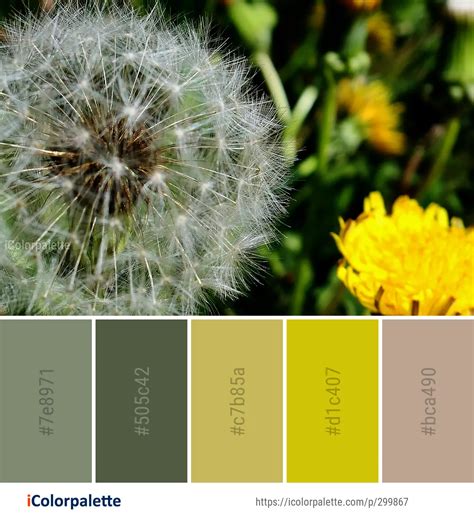 Color Palette Ideas From Flower Dandelion Plant Image Icolorpalette