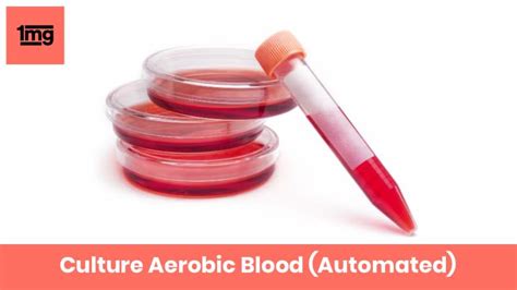 Culture Aerobic Blood (Automated) : Purpose & Normal Range of Results | 1mg