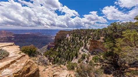 Cape Royal Trail / North Rim | ProArtInc