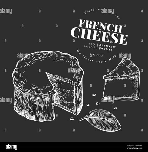 French cheese illustration. Hand drawn vector blue cheese illustration ...