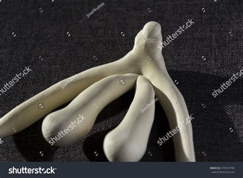3d Printed Female Sex Organ Clitoris Foto De Stock Editar Ahora 579372784