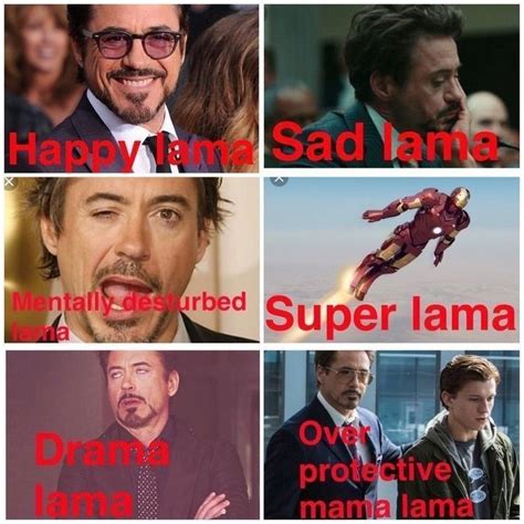 Avengers Memes Only Fans Will Understand