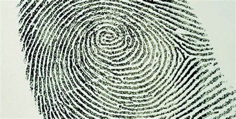 Forensic Fingerprinting