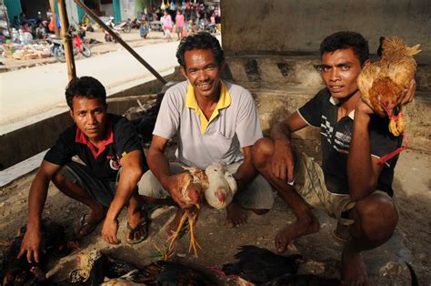 Reisebericht Sumba Ein Tag Auf Der Indonesischen Insel In Bildern Wo