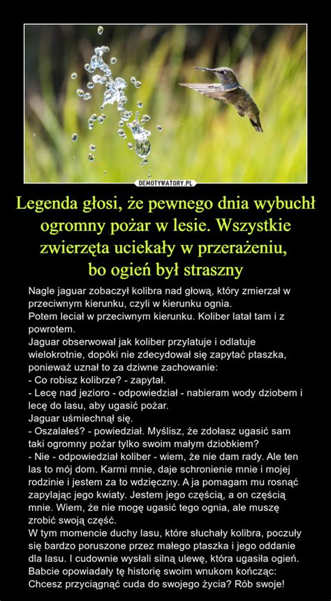 Legenda G Osi E Pewnego Dnia Wybuch Ogromny Po Ar W Lesie Wszystkie