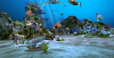 Fish Tank Backgrounds