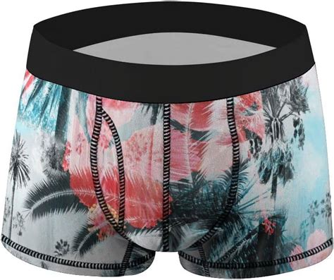 Hyjoy Mens Boxer Briefs Trunks Underwear Pack Vague Palm Trees