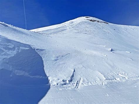 Beautiful Fresh And Clean Spring Alpine Snow In The Glacier Du Sex