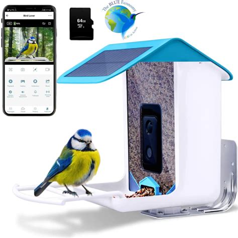 Bird Feeder with Camera. Smart Bird Feeder with, wild bird feeder with ...