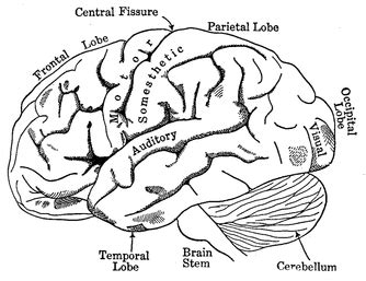 What is Agnosia? - AGNOSIA