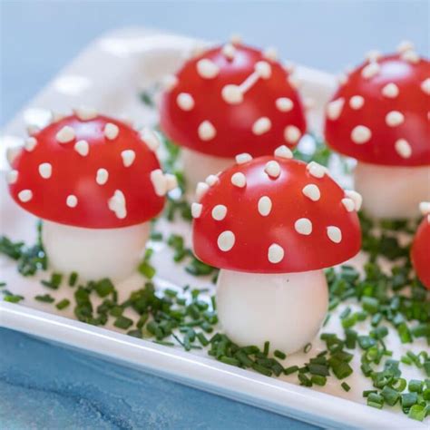 Fly Agaric: The Mushroom, The Myth, The Facts - Mushroom Appreciation