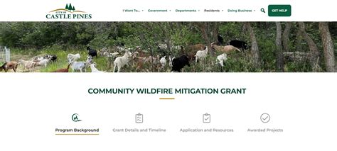 Community Wildfire Mitigation Grant Application Open For Resident And