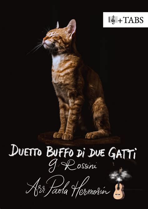 Duetto Buffo Di Due Gatti De Rossini Dúo De Los Gatos Para Guitarra Y