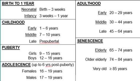 Chapter 8-Physical Growth, Maturation, & Aging Flashcards | Quizlet