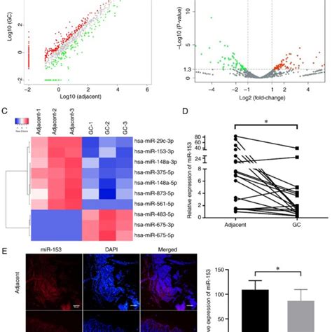 Mirna Expression Profile In Gc A Scatter Plots Used To Assess The