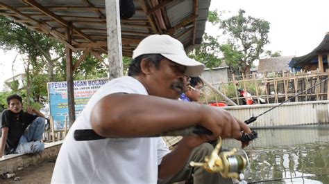 Serunya Mancing Galapung Ikan Mas Youtube