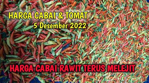 Harga Cabai Hari Ini 5 Desember 2022 Info Harga Cabai Rawit Merah