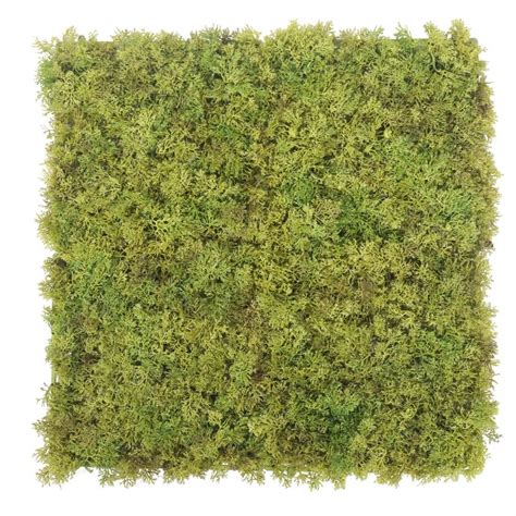 Artificial Woodland Moss At Evergreen Direct