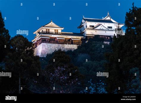 Japan, Ehime, Matsuyama Castle. Night time view of the tenshu, keep illuminated on top of the ...