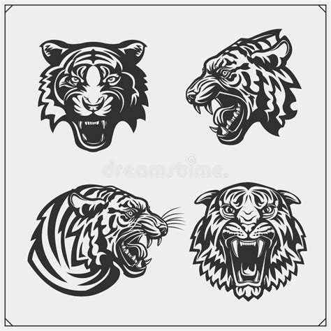 Angry Tiger Face Tattoo