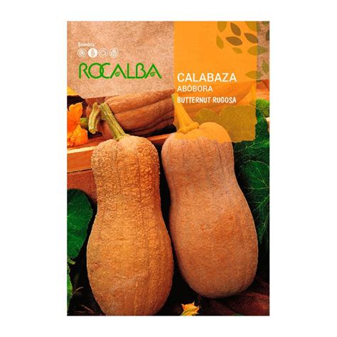 Semilla Calabaza Butternut Rugosa Comprar Semillas Calabaza Asar