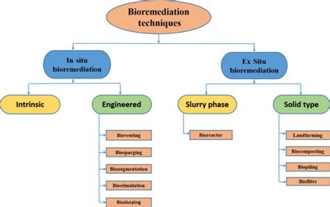 Bioremediation Types Uses And Techniques Daily Good Morning Kashmir