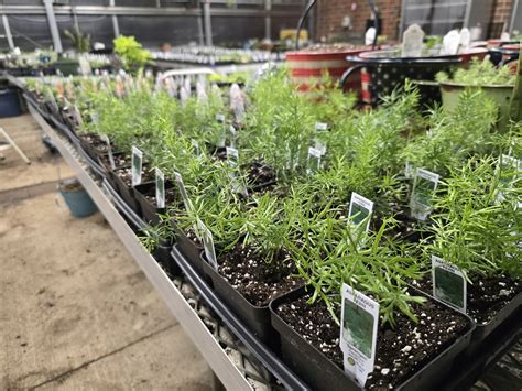 Waterford Union High School | Waterford WI