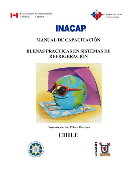 PDF MANUAL DE CAPACITACIÓN BUENAS PRACTICAS EN SISTEMAS DE