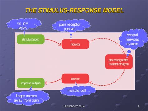 Ppt Biology Unit 3 Powerpoint Presentation Free Download Id 1926495