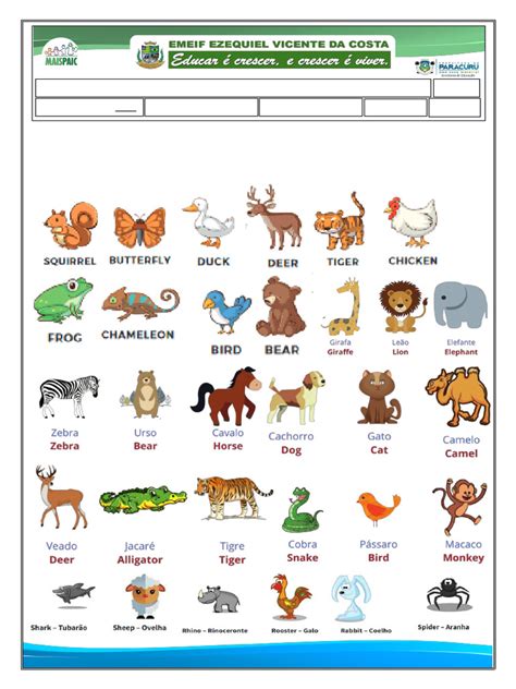 Pelo De Animal Em Inglês
