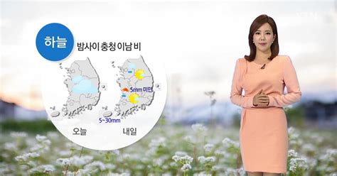 날씨 밤사이 충청 이남 비내일 아침 쌀쌀 ·낮 따뜻