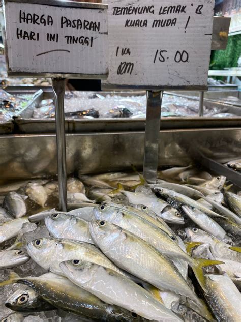 Cuaca Buruk Ikan Kembung Naik Harga RM16 Sekilo Kosmo Digital