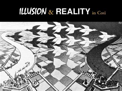 Cosi Illusion And Reality Presentation